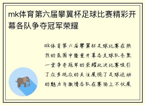 mk体育第六届攀翼杯足球比赛精彩开幕各队争夺冠军荣耀